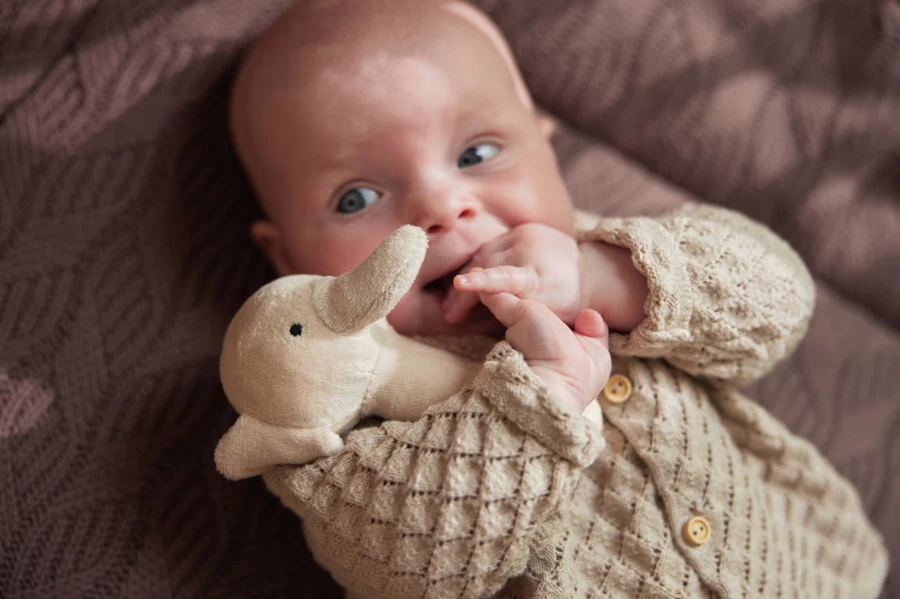 Jollein Baby Elephant Rattle Toy - Soft Teether Shaker for Newborns & Infants, Cute Animal Shaking Sound Sensory Gift for Boys & Girls