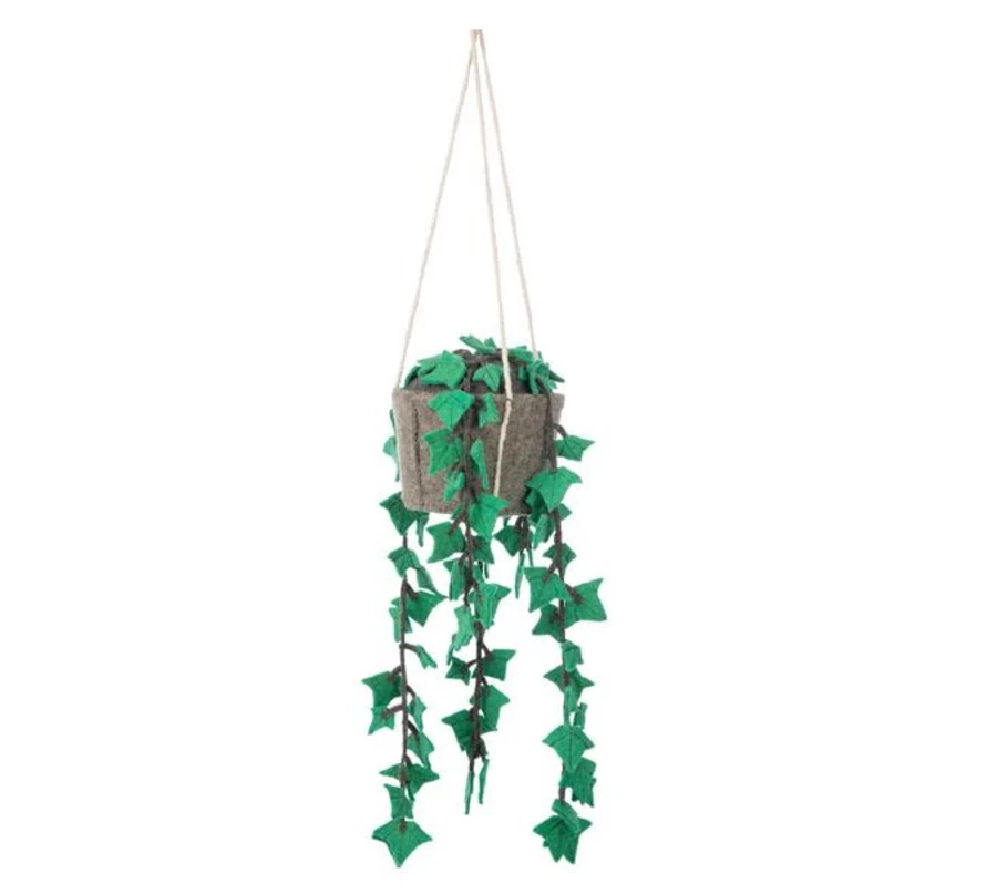 Kids Depot Hanging Plant for Home Decor - Kd Indoor Hanging Basket with Hook, Air-Purifying House Plant for Room, Office, Nursery, Patio