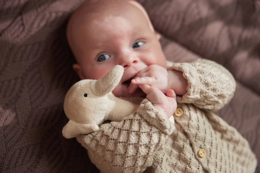 Jollein Baby Elephant Rattle Toy - Soft Teether Shaker for Newborns & Infants