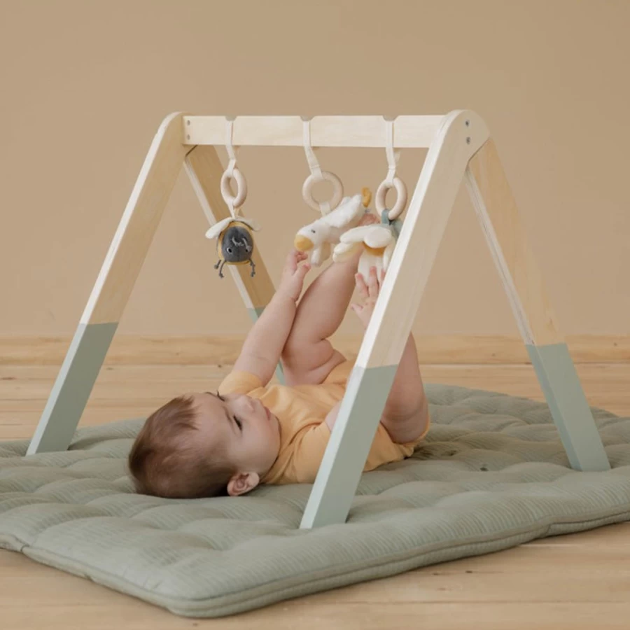 Little Dutch Baby Gym - Premium Playmat for Infant Development & Tummy Time