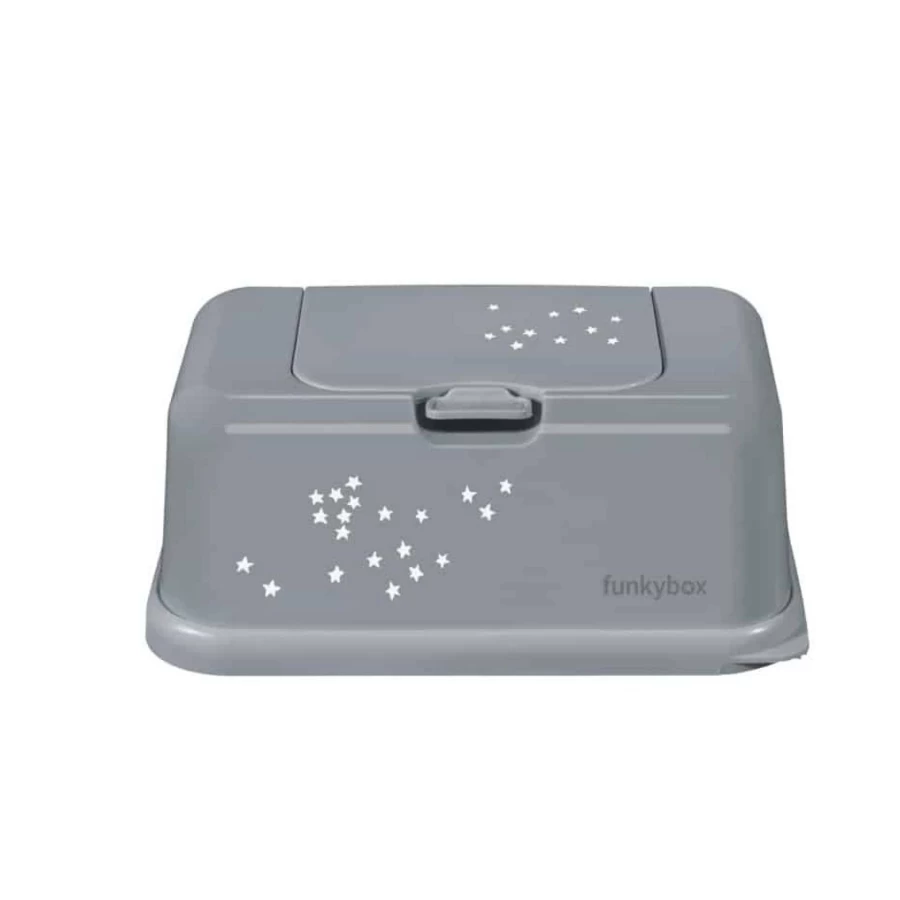 Funky Box Flushable Wet Wipes for Adults & Babies - Fragrance-Free, Biodegradable, 240 Count