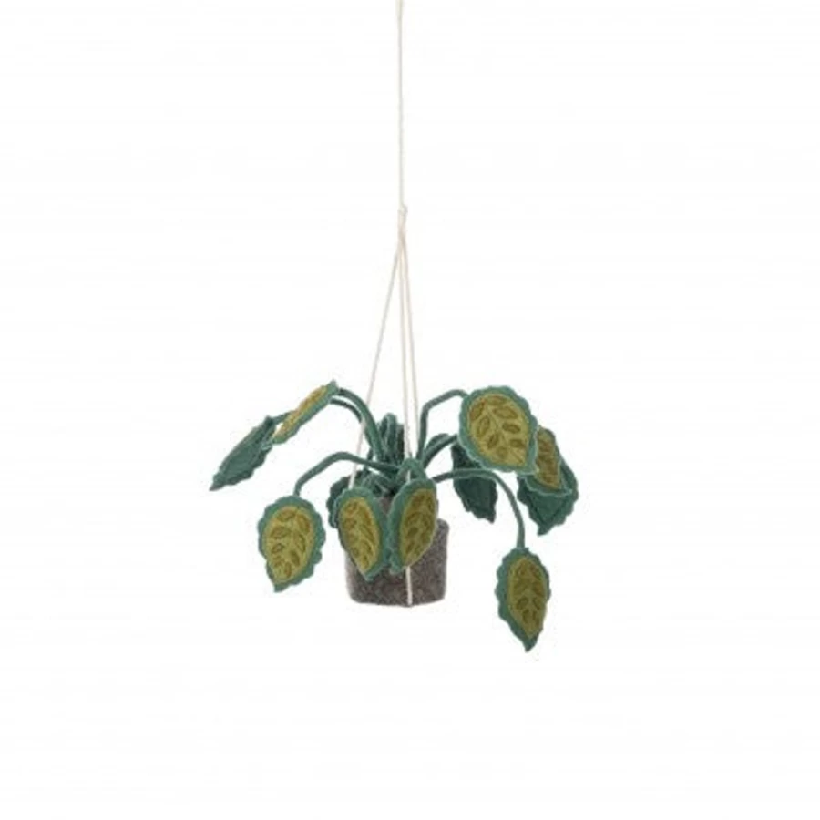 Kids Depot Hanging Plant for Home Decor - KD Indoor/Outdoor Hanging Basket with Chain, Perfect for Gardens, Patios, and Balconies