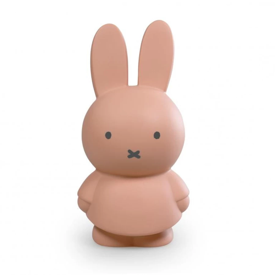 VanHalst Miffy Money Box - Cute Rabbit Piggy Bank for Savings